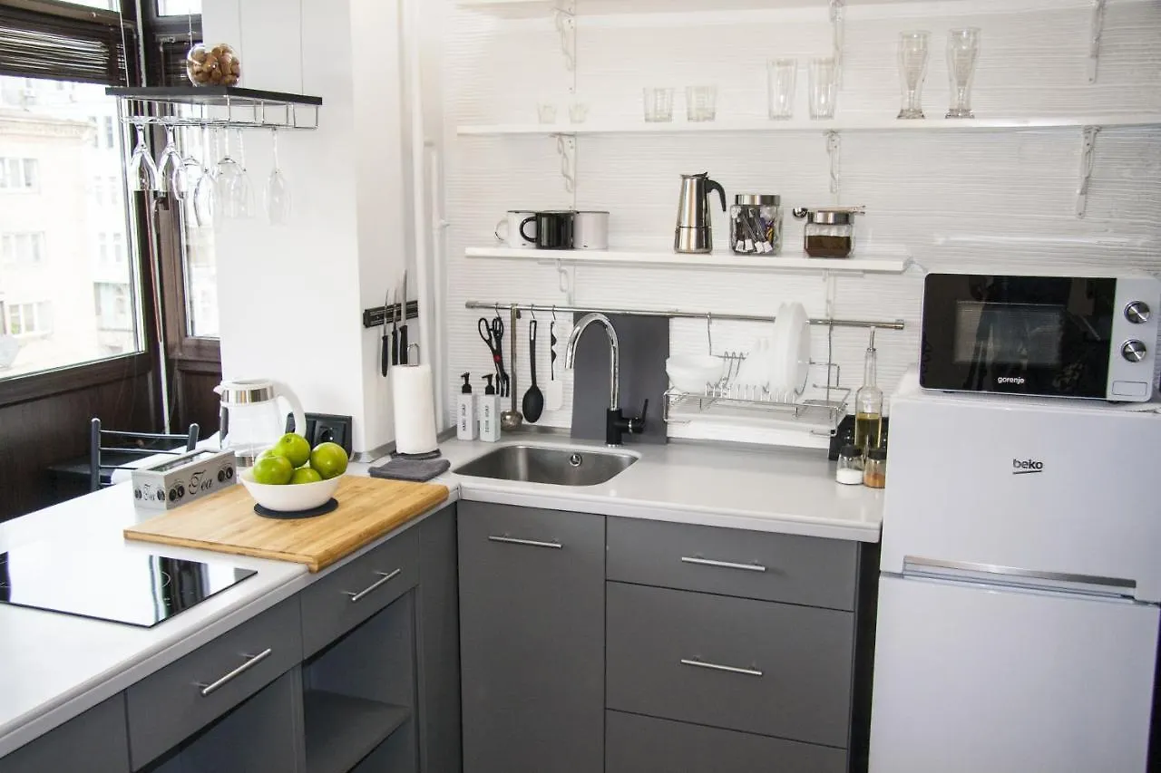 Black&White Apartment On Saksaganskogo 基輔 0*,